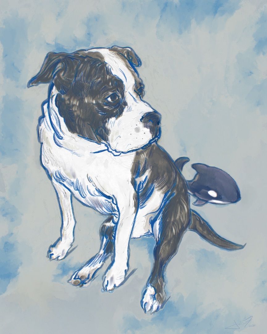 Expressive digital portrait of a black-and-white dog with a small orca toy, painted with bold strokes on a soft blue background